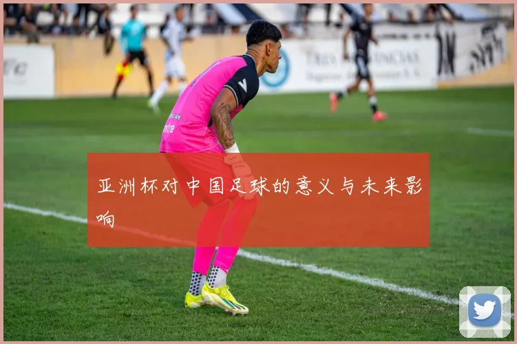 亚洲杯对中国足球的意义与未来影响