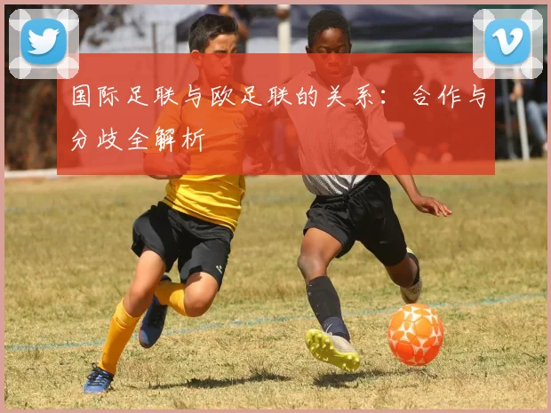 国际足联与欧足联的关系：合作与分歧全解析
